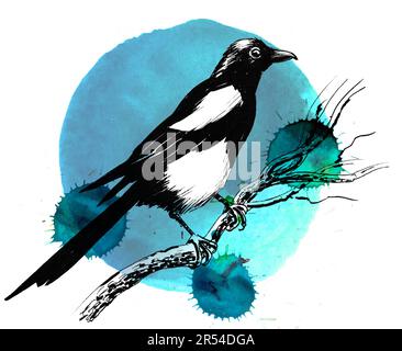 Elster auf einem Ast. Handgezeichnete Tinte und Aquarelle auf Papier Stockfoto