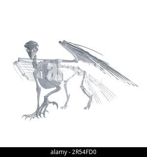 Pteronodon-Skelett-Cartoon, Vektorskelett des ausgestorbenen alten fliegenden Reptils Pteranodon. Isoliert auf weißem Hintergrund. Polygonales 3D-Modell.. Stock Vektor