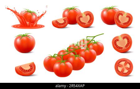 Set aus roten Tomaten, isoliert auf weißem Hintergrund. Realistische 3D-Vektordarstellung. Ganz, halb und in Scheiben, Zweig roter Kirschtomaten. Reife Tomate Stock Vektor