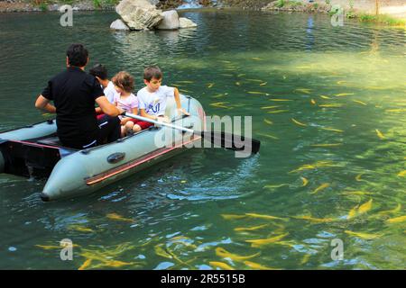 Oguz. Aserbaidschan. 27.08.2016. Ein Mann reitet Kinder in einem aufblasbaren Boot an einem Wasserfall. Stockfoto