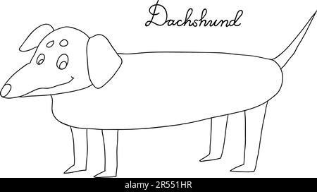 Dackel. Vektordarstellung freihändig gezeichnet. Original-Linearbild eines Dachshunds. Stock Vektor