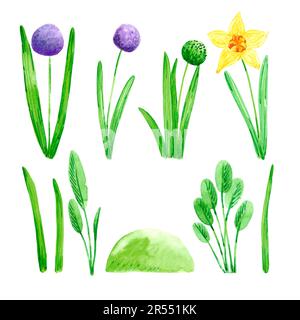 Handgezeichnete, wässrige Frühlingsgartenblumen mit blühender Hyazinthe und daffodile auf weißem Hintergrund. Vintage-Illustration im ländlichen Stil Stockfoto
