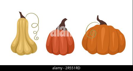 Vektorsatz verschiedener Kürbisse, isoliert vom Hintergrund. Herbsternte-Kollektion. Orangengemüse aus dem Garten für Aufkleber, Postkarten Stock Vektor