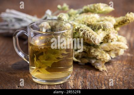 Griechischer Sideritis-Tee Auf Dunklem Holz Stockfoto