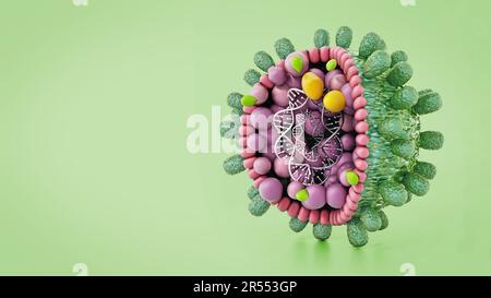 Strukturdetails des auf grünem Hintergrund isolierten Hepatitis-B-Virus. 3D Abbildung. Stockfoto