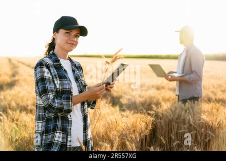 Ein paar Landwirte untersuchen den Getreidebereich und senden Daten vom digitalen Tablet und Laptop in die Cloud. Stockfoto