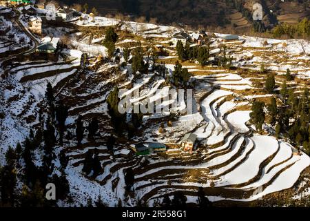 Schneebedeckte Terrassenlandschaften in einem kleinen Dorf in Himachal Pradesh, Indien. Es pflanzt auf abgestuften Terrassen, die in den Hang gehauen sind. Stockfoto