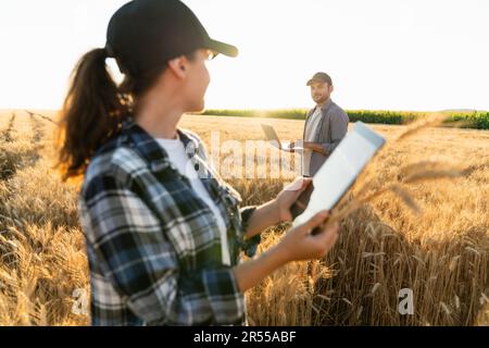 Ein paar Landwirte untersuchen den Getreidebereich und senden Daten vom digitalen Tablet und Laptop in die Cloud. Stockfoto