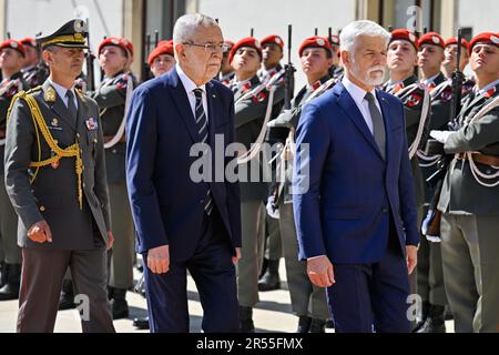 Wien, Österreich. 01. Juni 2023. Der österreichische Präsident Alexander Van der Bellen, Zentrum, trifft am 1. Juni 2023 in Wien seinen tschechischen Amtskollegen Petr Pavel, Right, Österreich. Kredit: VIT Simanek/CTK Photo/Alamy Live News Stockfoto