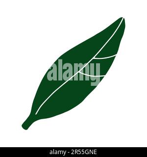 Doodle Leaf-Bild. Handgezeichnete lange Pflanze, isoliert auf weißem Hintergrund. Grünes Zitronenblatt mit Adern. Kräutersommer-Schild. Vektorblumen-Illustration für mich Stock Vektor