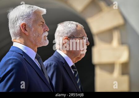 Wien, Österreich. 01. Juni 2023. Der österreichische Präsident Alexander Van der Bellen, rechts, trifft am 1. Juni 2023 in Wien mit seinem tschechischen Amtskollegen Petr Pavel, links, zusammen. Österreich. Kredit: VIT Simanek/CTK Photo/Alamy Live News Stockfoto