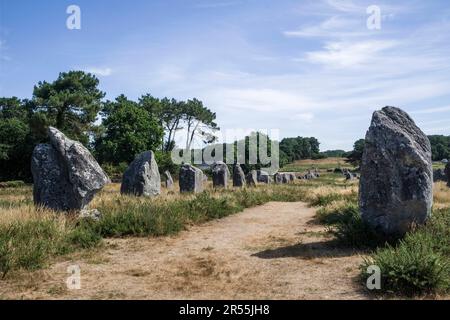 Carnac (Bretagne, Nordwestfrankreich): Die Menhiren, stehende Steine Stockfoto