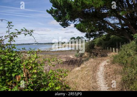 Sene (Bretagne, Nordwestfrankreich): Küstenpfad auf der Vorgewende des pointe du Bill im Golf von Morbihan Stockfoto