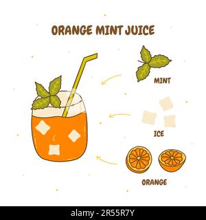 Frisch gepresster Orangensaft mit Minze. Gesundes kühles Getränk, vitaminerfrischendes Smoothie-Rezept, Sommersaison. Bunte Vektor-isolierte Darstellung Stock Vektor