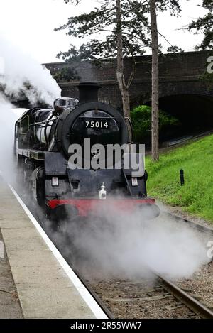 Besuch der BR Standard Klasse 4 Nr. 75014 Braveheart beim Wassertrinken an der Cheltenham Rennbahn Station während des GWSR Cotswold Festival of Steam 2023. Stockfoto