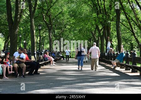 Die Leute entspannen sich auf den Bänken in der Mall im Central Park, New York City. Stockfoto