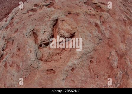 Nahaufnahme einer Dinosaurierstrecke, Moenave-Formation in der Nähe von Tuba City, Arizona, USA Stockfoto