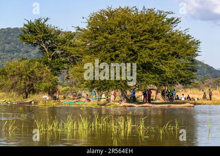 Abendliche Atmosphäre am Shire River. Liwonde-Nationalpark, Malawi Stockfoto