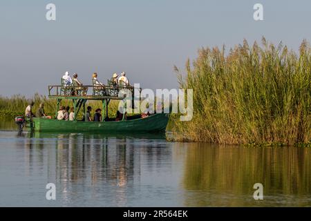 Geführte Bootstour über den Shire River. Abendliche Atmosphäre am Shire River. Liwonde-Nationalpark, Malawi Stockfoto