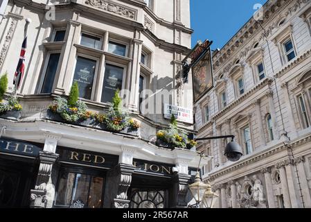 London, Vereinigtes Königreich - 04 07 2023: The Red Lion Pub in London. Stockfoto