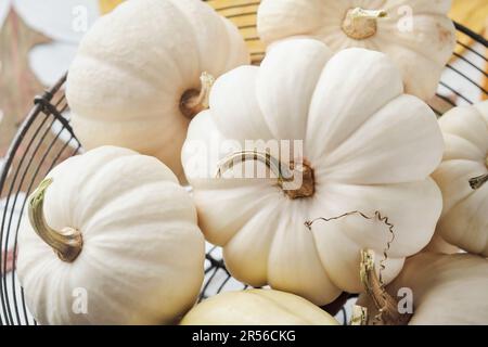 Halloween festliche Herbst Hintergrund. Herbstdekor aus Kürbissen, Beeren, Ahornblättern und Kastanien auf alten rustikalen Steinfliesen-Hintergründen. Konzept von Stockfoto