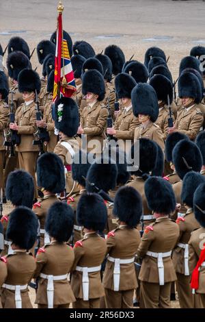 London, Großbritannien. 1. Juni 2023. Die Waliser Wachen sammeln ihre Farben. Der Brigaden-Major der Haushaltsabteilung überprüft die Truppen, um sicherzustellen, dass sie den erforderlichen Standard in einer privaten Probe erfüllen, bevor die beiden Rezensionen der Öffentlichkeit stattfinden: Die Generalmajor-Rezension und die Oberst-Rezension (Trooping the Colour). Zum ersten Mal seit mehr als dreißig Jahren werden alle fünf Fussschutzregimente teilnehmen. Ebenfalls auf der Parade werden das Kavallerie-Regiment und das königliche Pferd des Königs sein. Kredit: Guy Bell/Alamy Live News Stockfoto