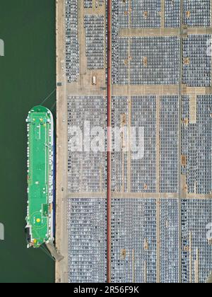 YANTAI, CHINA - 1. JUNI 2023 - Im Hafen von Yantai wird Eine große Anzahl von Exportfahrzeugen montiert, die über Ro-Ro-Schiffe in Yantai, Shandong, transportiert werden sollen Stockfoto