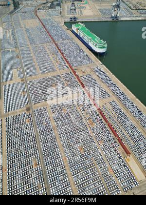 YANTAI, CHINA - 1. JUNI 2023 - Im Hafen von Yantai wird Eine große Anzahl von Exportfahrzeugen montiert, die über Ro-Ro-Schiffe in Yantai, Shandong, transportiert werden sollen Stockfoto