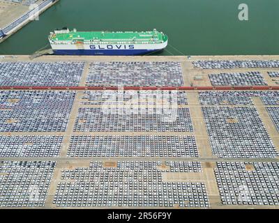 YANTAI, CHINA - 1. JUNI 2023 - Im Hafen von Yantai wird Eine große Anzahl von Exportfahrzeugen montiert, die über Ro-Ro-Schiffe in Yantai, Shandong, transportiert werden sollen Stockfoto