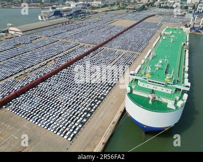 YANTAI, CHINA - 1. JUNI 2023 - Im Hafen von Yantai wird Eine große Anzahl von Exportfahrzeugen montiert, die über Ro-Ro-Schiffe in Yantai, Shandong, transportiert werden sollen Stockfoto