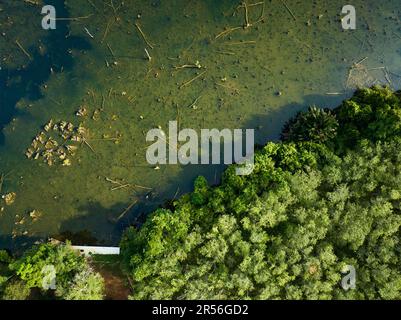 Draufsicht Draufsicht Draufsicht über den Sumpf oder den See bei Sonnenaufgang oder Sonnenuntergang, herrlicher Blick auf die Natur am Morgen am Klong Wurzelsee Krabi Thailand Stockfoto