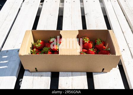 Frische Erdbeeren in einem Pappkorb, auf einer weißen Palette. Stockfoto