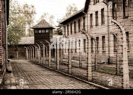 Polen, Auschwitz - 18. April 2014: Verdrahtete Zäune des Konzentrationslagers Auschwitz in Oswiecim, Polen Stockfoto