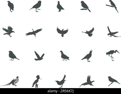 Vogelsilhouette, „Flying Bird“-Silhouette, „Bird Clipart“, „Birds SVG“, Vektorsatz, Vektorelemente Stock Vektor