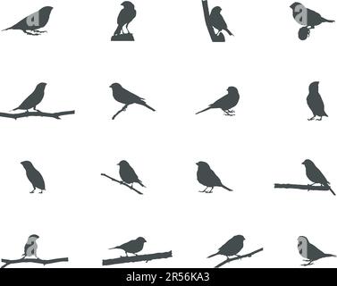 Finch-Silhouette, Finch-Vögel-Silhouette, Finch SVG, Finch-Vektordarstellung Stock Vektor