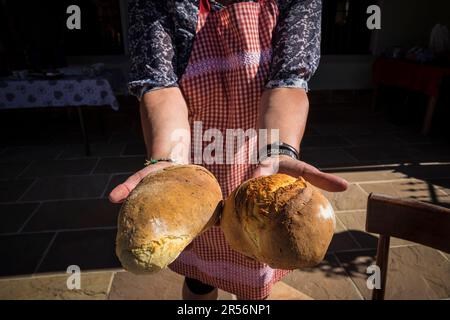 Festa del Pane. bossico. Italien Stockfoto