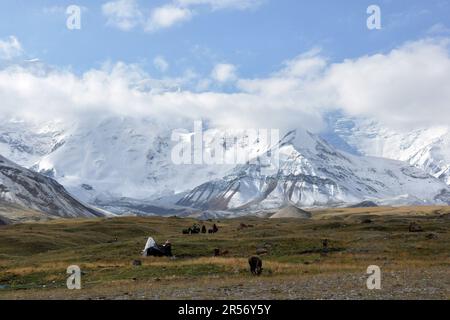 Kirgisistan. Lenin wählt Basislager aus Stockfoto