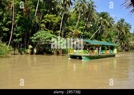 Philippinen. Insel Visayas. Loboc-Fluss Stockfoto