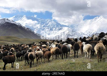 Kirgisistan. Lenin wählt Basislager aus Stockfoto