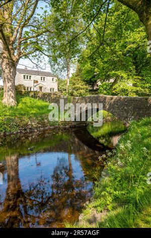 Das kleine Yorkshire Dorf Clapham mit einer historischen Steinbrücke und dem Clapham Beck. Stockfoto