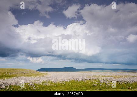 Blick auf den Pen-y-Gent, einen der drei Gipfel in Yorkshire. Stockfoto