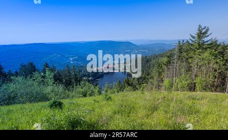 Der Mummelsee im Schwarzwald umgeben von Bergen Baden-Württemberg, Deutschland, Europa Stockfoto