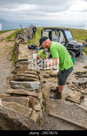 Freiwillige und Park Ranger pflegen die Wanderwege und trockenen Steinmauern auf dem Gipfel von Whenside, einem der drei Gipfel von Yorkshire. Stockfoto