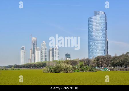 Wolkenkratzer umgeben von einem malerischen Park in Puerto Madero in Buenos Aires, Argentinien Stockfoto