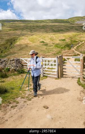 Wanderer auf dem Fußweg zu Whenside, einem der drei Gipfel in Yorkshire. Stockfoto