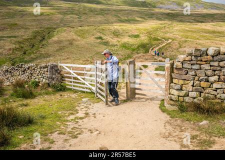 Wanderer auf dem Fußweg zu Whenside, einem der drei Gipfel in Yorkshire. Stockfoto