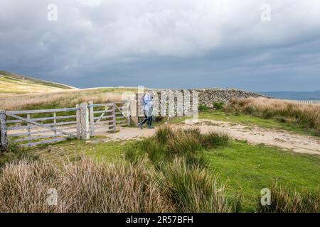 Wanderer auf dem Fußweg zu Whenside, einem der drei Gipfel in Yorkshire. Stockfoto