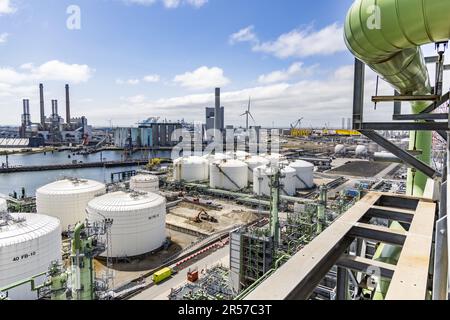 ROTTERDAM - ein Überblick über die Raffinerie Neste auf der Maasvlakte. Hier werden Biodiesel und bald auch nachhaltiger Flugzeugtreibstoff hergestellt. ANP JEFFREY GROENEWEG niederlande raus - belgien raus Stockfoto