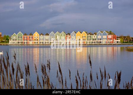 Houten, Niederlande - April 25 2023. Farbenfrohe Holzhäuser am See spiegeln sich im Wasser des Sees De Rietplas wider. Stockfoto