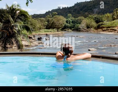 Frau, die sich im Schwimmbad entspannt und eine Herde junger Elefanten im Flusswasser im Pinnawala Elephant Waisenhaus beobachtet. Stockfoto
